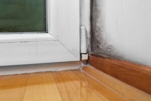 all aspects waterproofing prevent mold growth in basement